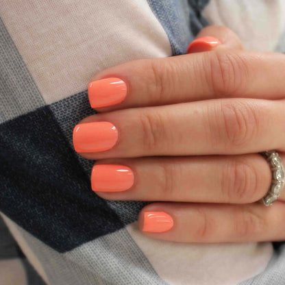 Bio Sculpture 0249 Coral Cluster - GEMINI